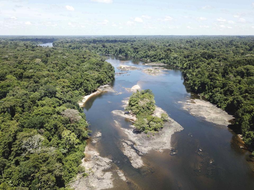 This undated photo provided by researchers in September 2019 shows typical electric eel highland habitat in Suriname's Coppename River. Two newly discovered electric eel species, Electrophorus electricus and E. voltai, live in the highland regions of the Amazon. (Carlos David de Santana via AP)