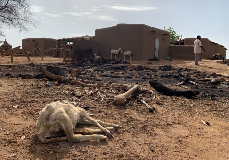 FILE PHOTO: A dead animal is seen amidst the damage at the site of an attack on the Dogon village of Sobane Da