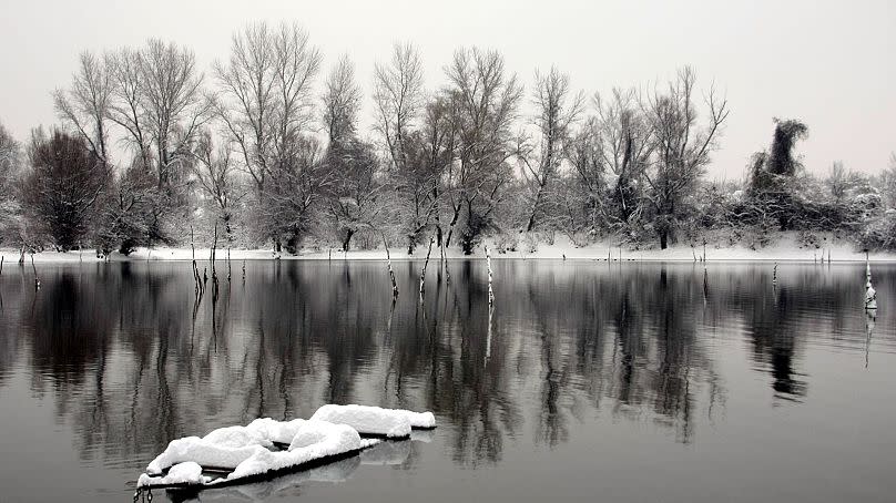 Invierno en el río Danubio.