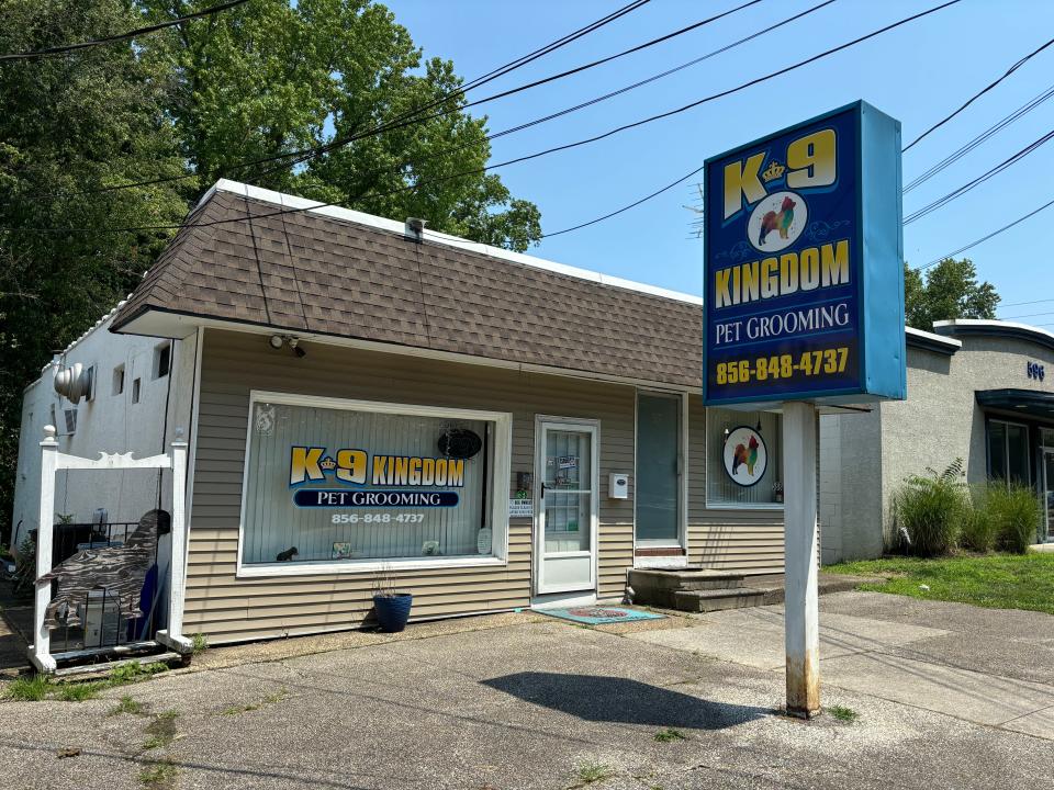 The owner of K9 Kingdom in Woodbury Heights was arrested on drug charges following an investigation after a dog died at the facility.