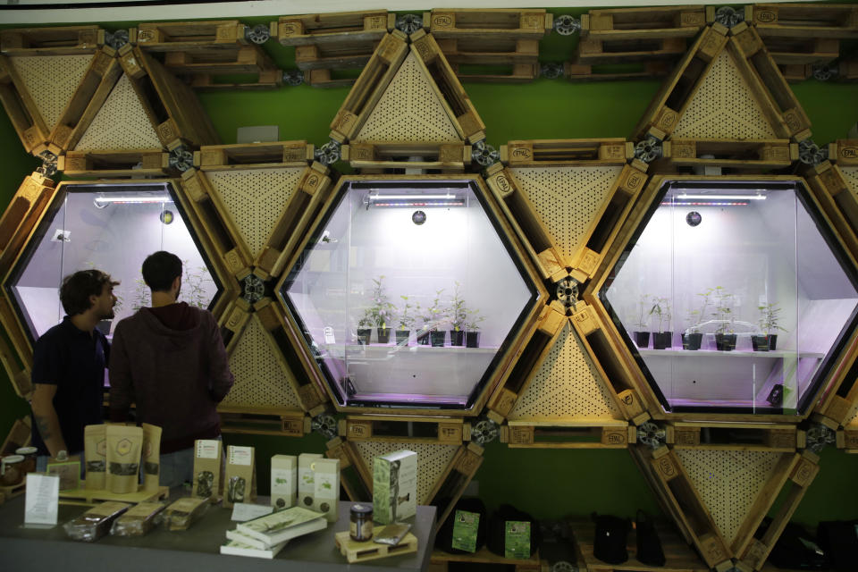 In this Thursday, June 6, 2019 photo, a shop assistant, left, shows products to a customer at a cannabis light store in Milan, Italy. It’s been called Italy’s ‘’Green Gold Rush,’’ a flourishing business around light marijuana that has created 15,000 jobs and an estimated 150 million euros worth of annual revenues in under three years. But the budding sector is facing a political and judicial buzzkill. (AP Photo/Luca Bruno)