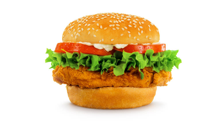 chicken sandwich white background