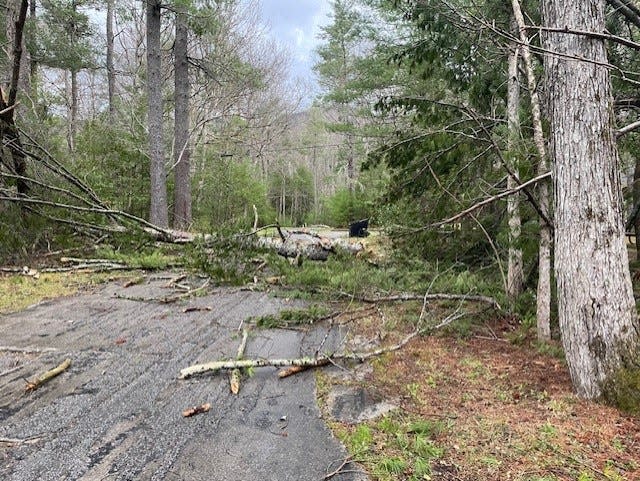 Fallen trees cover a road in Cades Cove campground after a high wind event downed trees and closed roads in the Great Smoky Mountains National Park March 26.