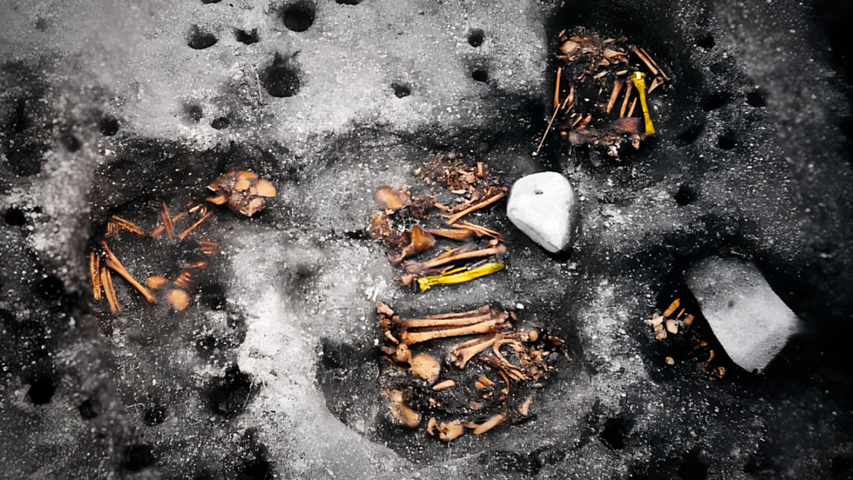  An array of human bones shown partially buried in the ground, with two bones highlighted in yellow. 