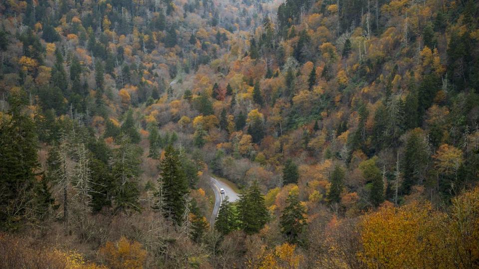 newfound gap at great smoky mountains national park in sevier county, tennessee