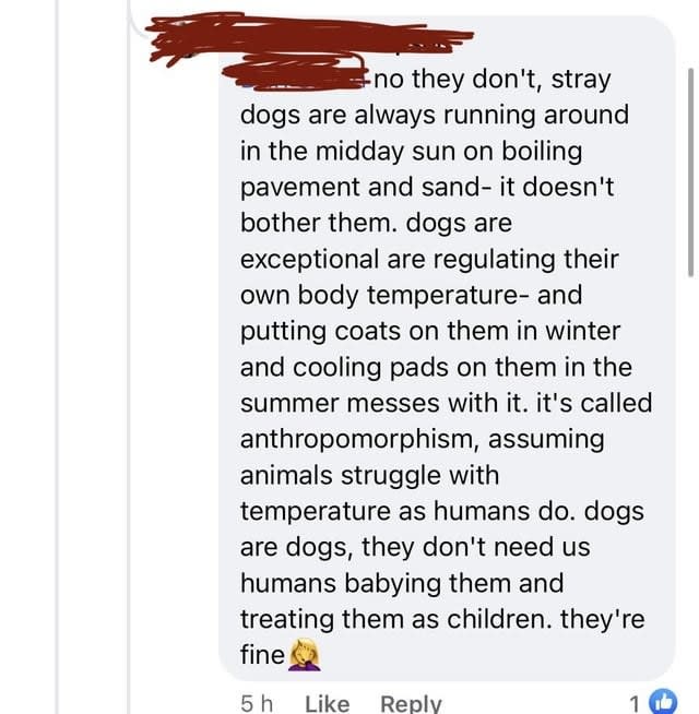 "dogs are dogs, they don't need us humans babying them and treating them as children. they're fine"