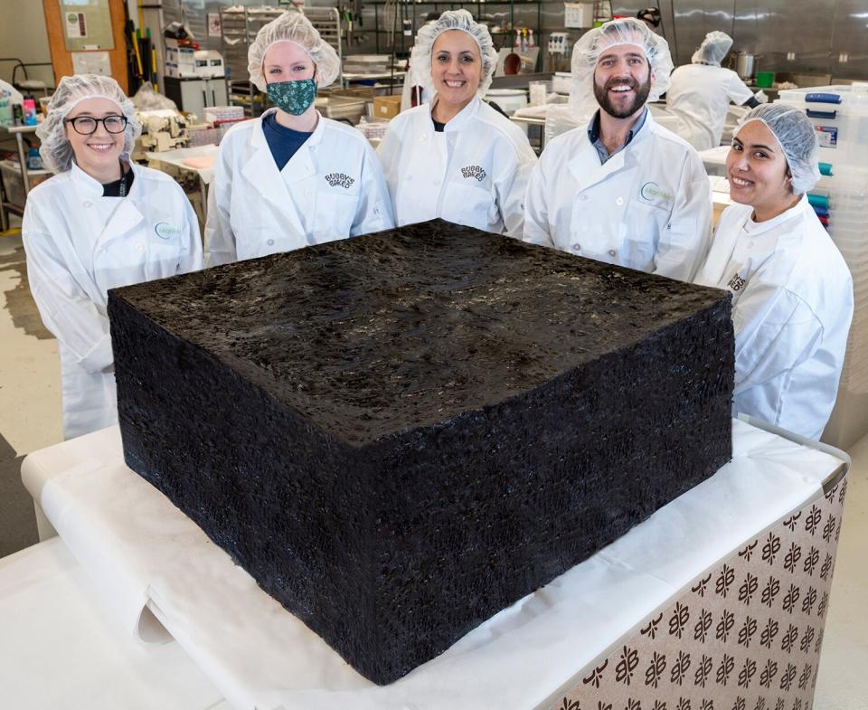 largest pot brownie