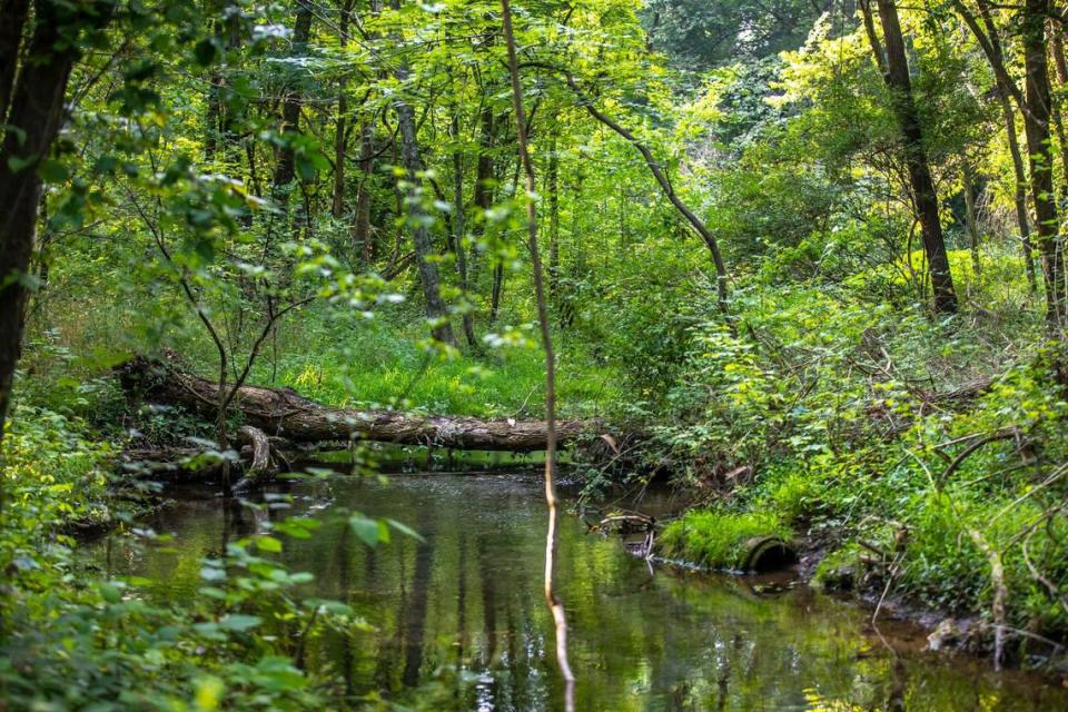 A creek runs through Preston’s Spring Park, one of more than 100 parks in Lexington, near Dunkirk Drive in the Cardinal Valley neighborhood. The shaded, 15-acre nature preserve has trails that wind around the creek. The creek starts from a small, but not publicly-accessible, cave. It’s a popular place for neighborhood kids to play and wade in the creek waters.