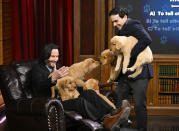 <p>Keanu Reeves and some adorable guests hang during a "Pup Quiz" on <em>The Tonight Show Starring Jimmy Fallon</em> in N.Y.C. on March 16. </p>