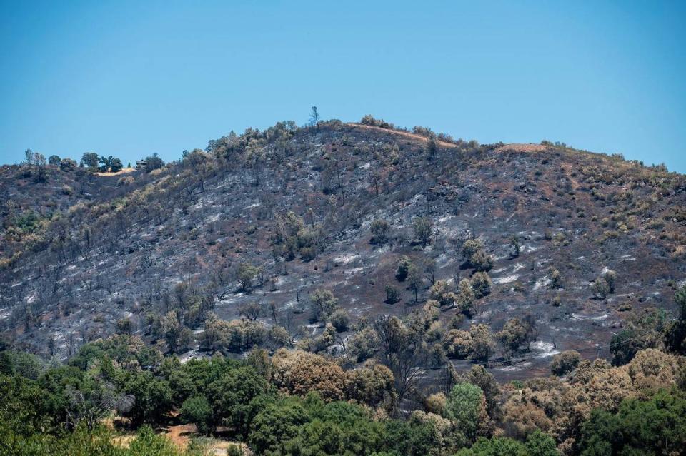 A section of hillside burned by the French Fire is seen above the town of Mariposa in Mariposa County, Calif., on Wednesday, July 10, 2024. According to fire officials, the wildfire started on July 4 in the area of French Camp Road and Highway 49 North in Mariposa County. The cause of the fire is under investigation.