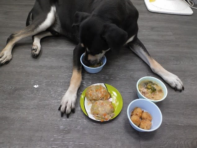 飼主準備寵物鮮食應注意營養及避開過敏源，毛寶貝才能吃的安心和健康。。   圖：新北市動保處提供