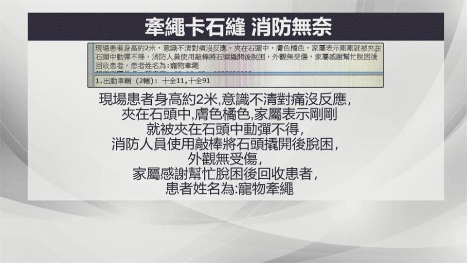 女子稱寵物卡住報警卻引議論　警消到場後竟是「這原因」