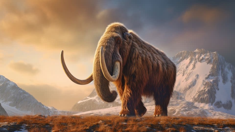A rendering of a woolly mammoth. Biotech company Colossal wants to create a hybrid combining mammoth DNA with that of Asian elephants. - Courtesy Colossal