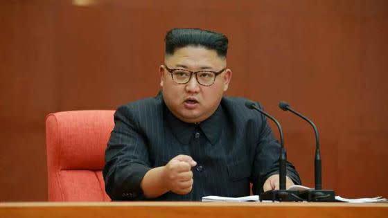 金正恩日前宣布，北韓正式戰勝新冠肺炎。（圖／翻攝自勞動新聞網）