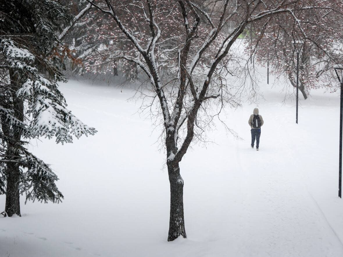 A student walks along a snow covered path at the University of Calgary. (The Canadian Press - image credit)