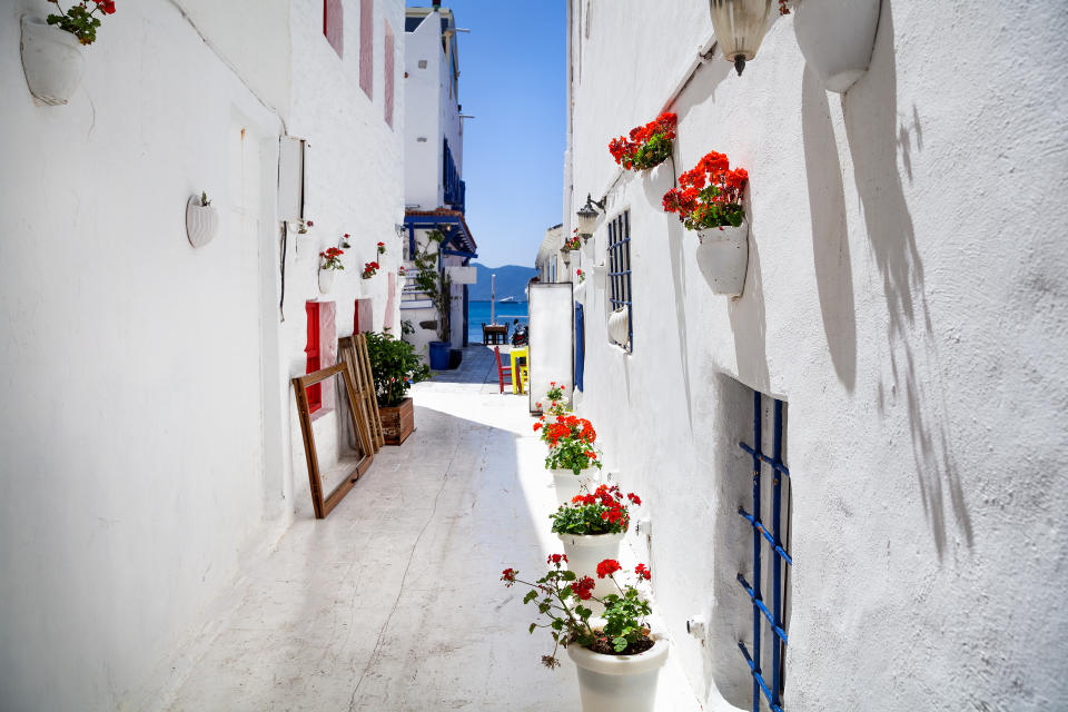 Narrow street with flower pots and Aegean sea in the background, Bodrum, Türkiye