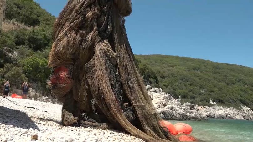 Abfälle, Plastik und Schadstoffe gefährden das marine Ökosystem.