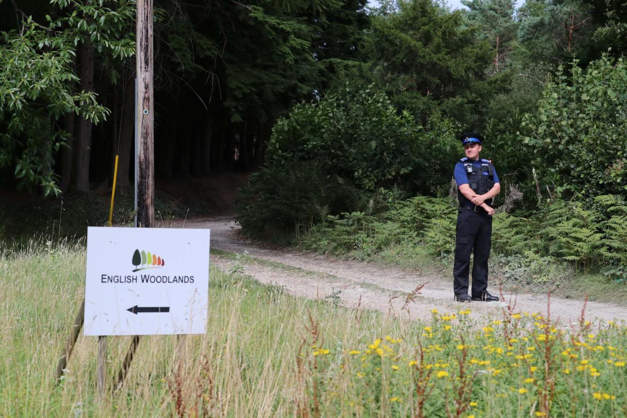 A police officer on the road close to scene of a light plane crash in Heathfield, East Sussex: PA