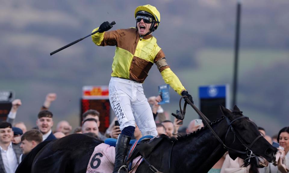 <span>Galopin Des Champs, the defending Gold Cup champion, is trained by Willie Mullins, the son of Paddy, who trained Dawn Run.</span><span>Photograph: Tom Jenkins/The Guardian</span>