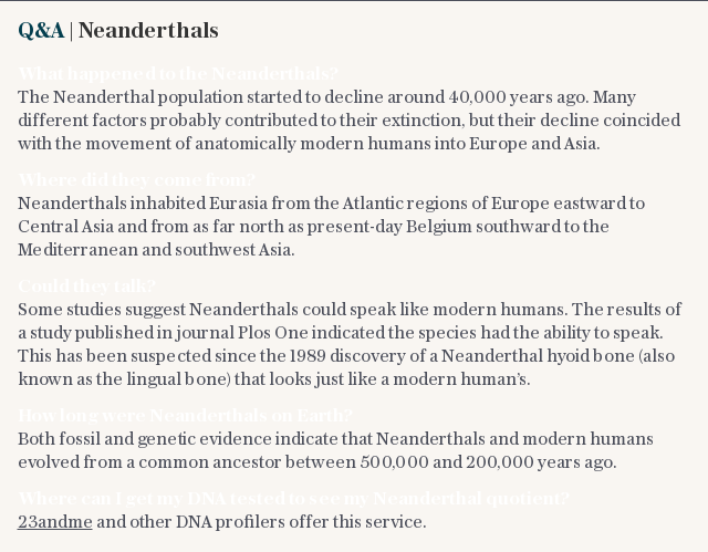 Q&A | Neanderthals