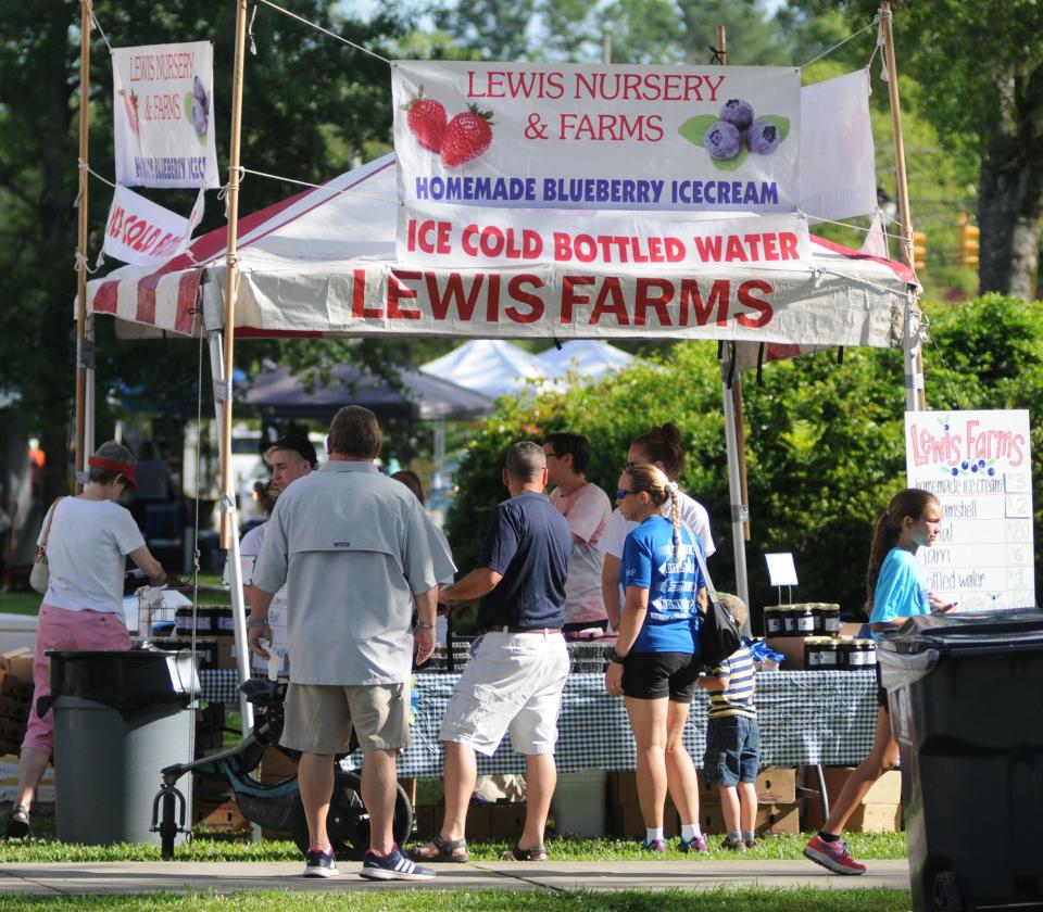 Thousands attended the 14th annual N.C. Blueberry Festival in Burgaw in 2017.