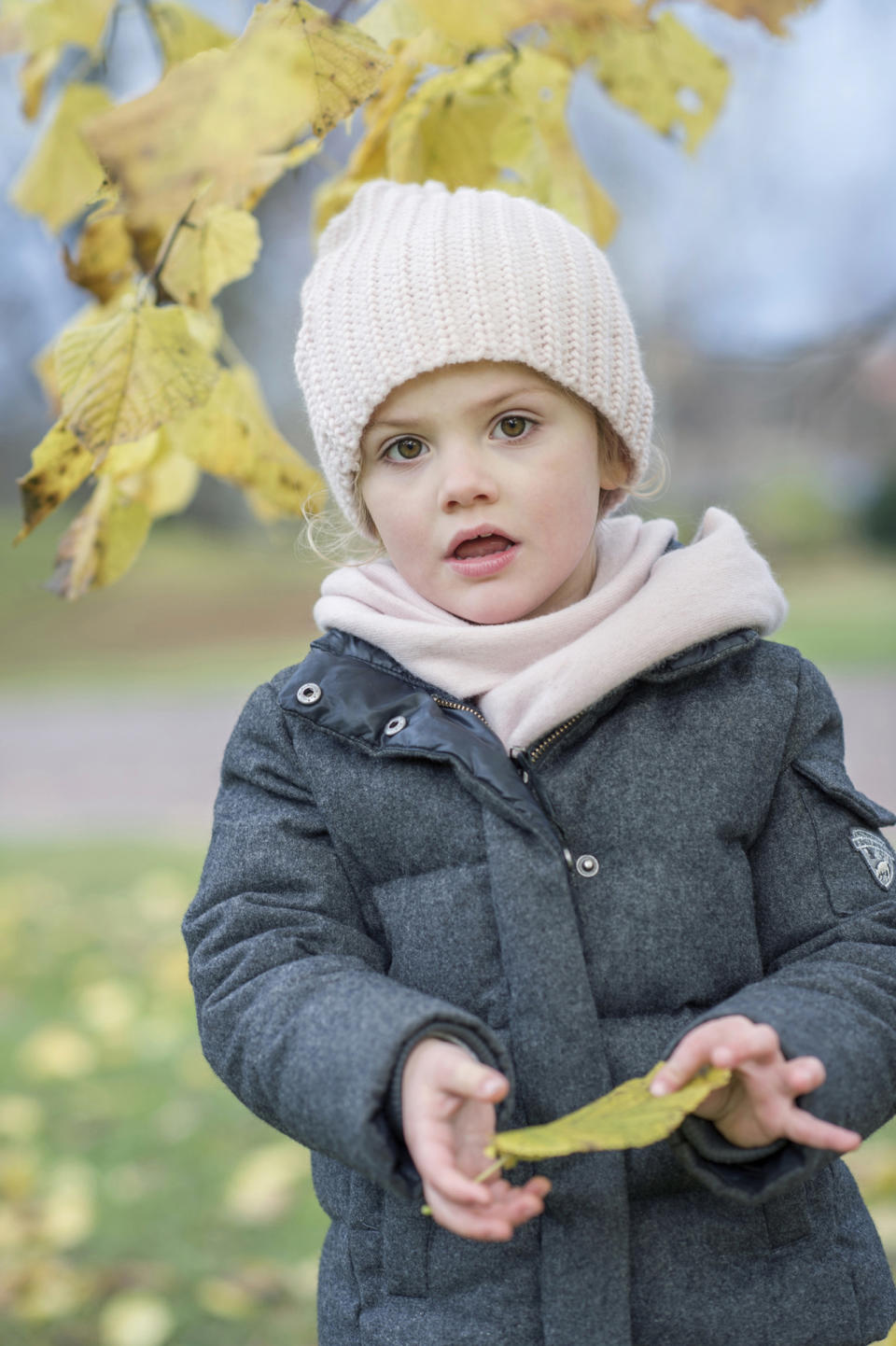 Die schönsten Blätter werden gesucht, mit nach Hause genommen und dort in dicke Bücher gelegt, damit sie glatt und trocken werden. Und Prinzessin Estelle scheint schon das erste gold-gelbe Blatt gefunden zu haben und schaut verträumt in die Kamera. Kate Gabor, die seit vielen Jahren die offiziellen Fotos der Familie macht, kennt Estelle mittlerweile sehr gut. Sie fängt immer die schönsten Momente der kleinen Prinzessin ein.