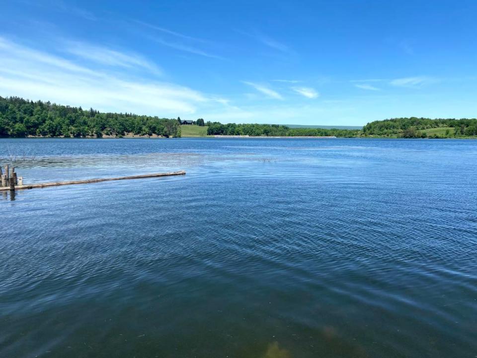 Colyer Lake is a favorite year-round destination in Centre County for anglers, hikers, mountain bikers and birdwatchers.