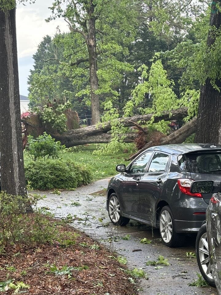 Wind gusts over 60 mph knocked down trees throughout Rock Hill.