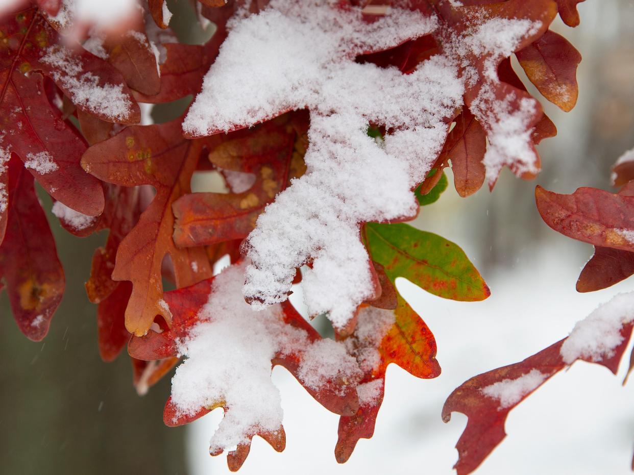 National Weather Service (NWS) issued weather warnings or advisories for parts of Oklahoma, Texas, and Kansas (EPA)