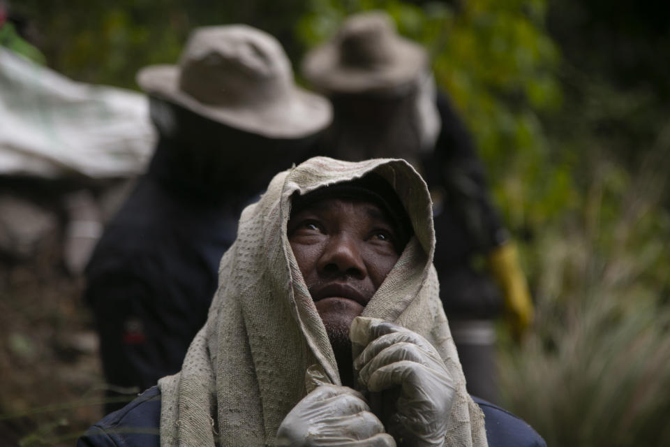 A honey hunter watches his team leader harvest cliff honey in Dolakha, 115 miles east of Kathmandu, Nepal, Nov. 19, 2021. High up in Nepal's mountains, groups of men risk their lives to harvest much-sought-after wild honey from hives on cliffs. (AP Photo/Niranjan Shrestha)