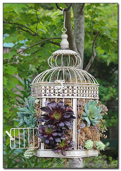 <p>Hang this antique container from a low tree branch in your backyard, then set up your lounge chairs underneath it for a statement-making "chandelier."</p><p><a rel="nofollow noopener" href="http://rainyside.com/container/BirdCageContainer.html" target="_blank" data-ylk="slk:See more at Rainy Side Gardeners »;elm:context_link;itc:0;sec:content-canvas" class="link "><em>See more at Rainy Side Gardeners »</em></a></p>