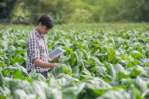 <span class="caption">Nature and technology can combine to help farms of the future nourish the earth and its inhabitants.</span> <span class="attribution"><a class="link " href="https://www.shutterstock.com/image-photo/happy-farmers-using-digital-tablet-cultivation-548038507" rel="nofollow noopener" target="_blank" data-ylk="slk:SimplyDay/Shutterstock;elm:context_link;itc:0;sec:content-canvas">SimplyDay/Shutterstock</a></span>