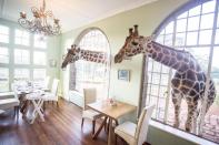 <p>Desayunar con jirafas no es algo que puedas hacer en cualquier parte del mundo. Este hotel ubicado en los suburbios de Nairobi te ofrece esta salvaje y original alternativa. /<em> Foto: Evening Standard</em> </p>