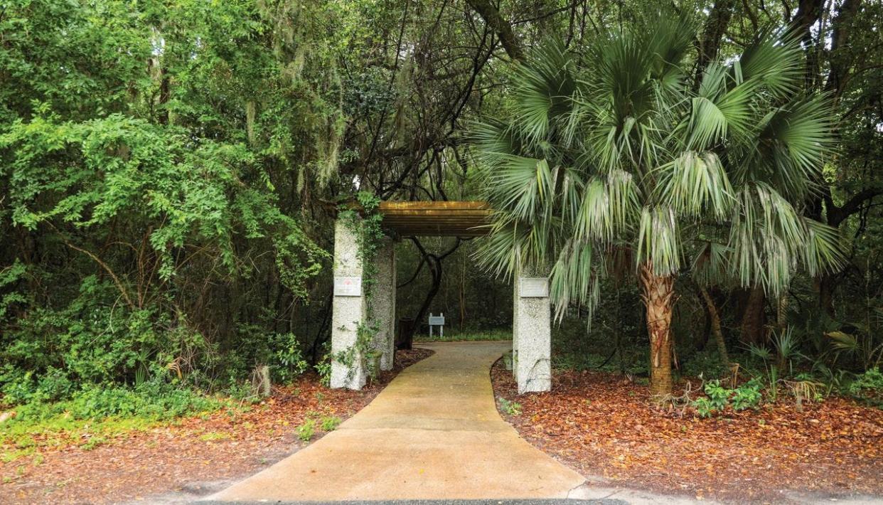In 2023, $300,000 from the St. Simons Land Trust Pennies for Preservation Program was used to help purchase the nearly 10-acre Gateway Property on the south end of St. Simons Island.