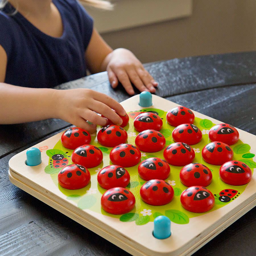 Ladybug’s Garden Memory Game