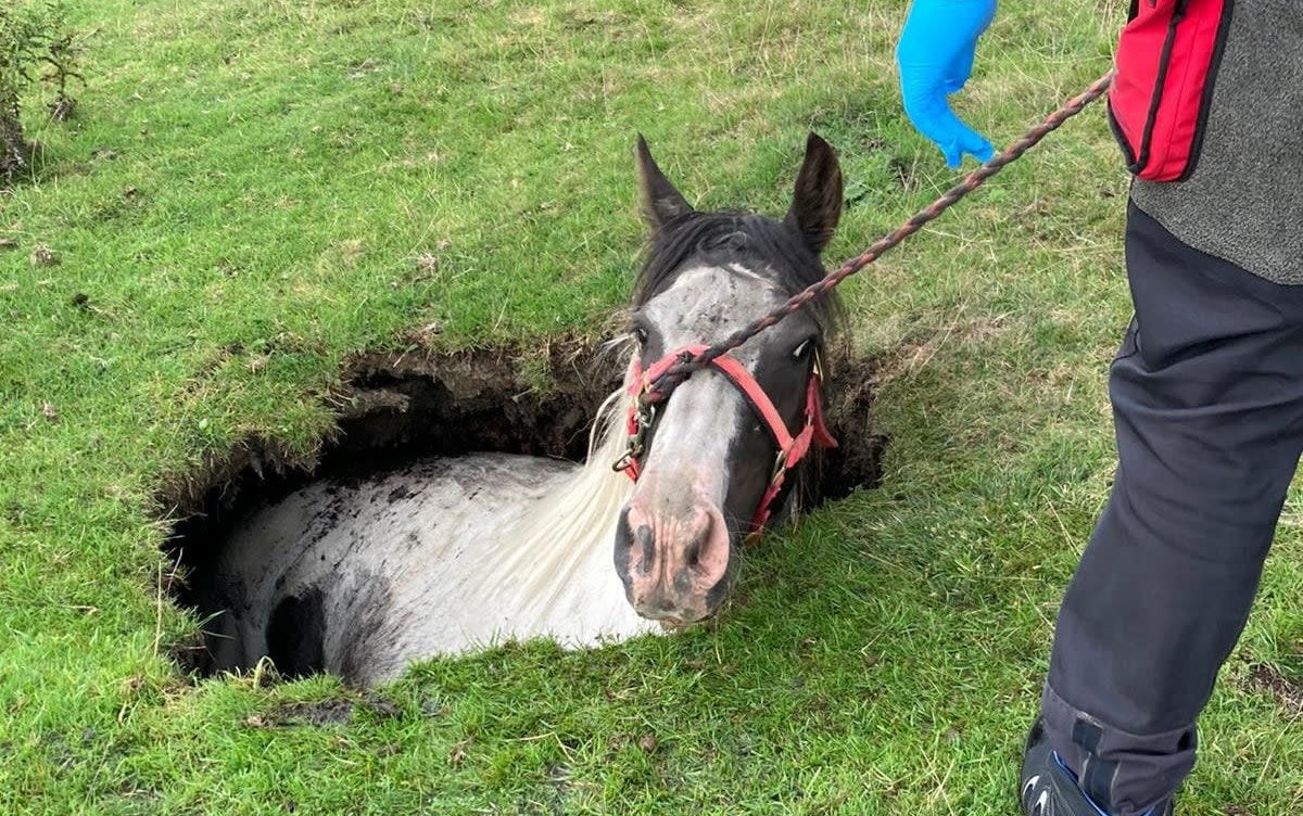 County Durham and Darlington Fire and Rescue have rescued a horse after it got trapped in a sinkhole in Cockfield Fell - County Durham Fire & Rescue/SWNS 