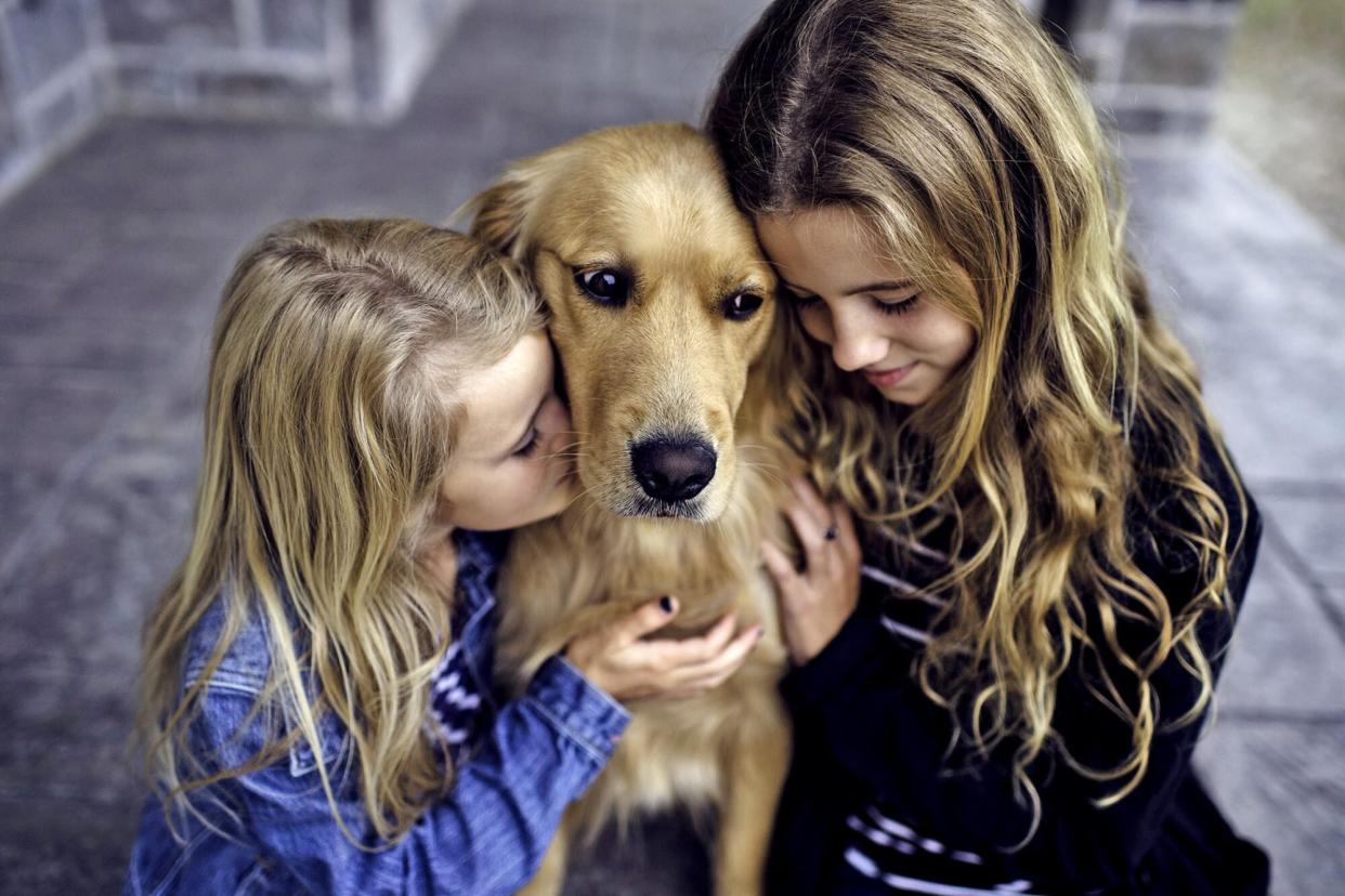 two young girls hugging their golden retriever; golden protects lost kids