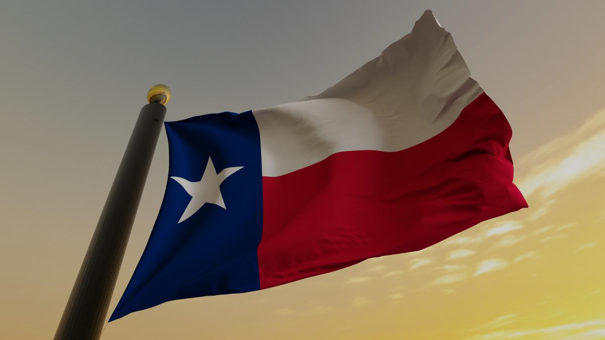 The Economic Power of Texas: Can Independence Solve the Illegal Immigration Problem?