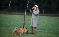 WINDSOR: Queen Elizabeth II in Windsor Park photographing her corgis in 1960, in England. (Photo by Anwar Hussein/Getty Images)