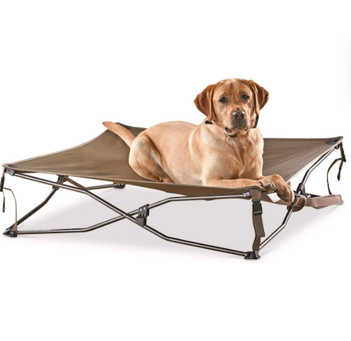 Guide Gear Dura Mesh Elevated Dog Bed