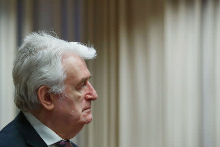 Former Bosnian Serb leader Radovan Karadzic appears in a courtroom before the International Residual Mechanism for Criminal Tribunals (MICT), which is handling outstanding war crimes cases for the Balkans and Rwanda, in The Hague, Netherlands, April 24, 2018. REUTERS/Yves Herman/Pool