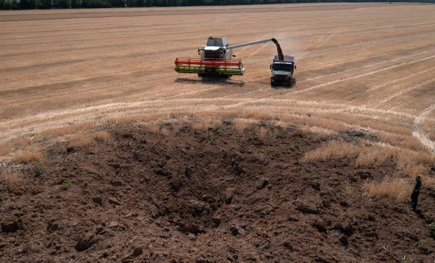 La innovadora estrategia de uno de los mayores grupos de siembra de Ucrania  para producir en medio de la guerra | Agrofy News