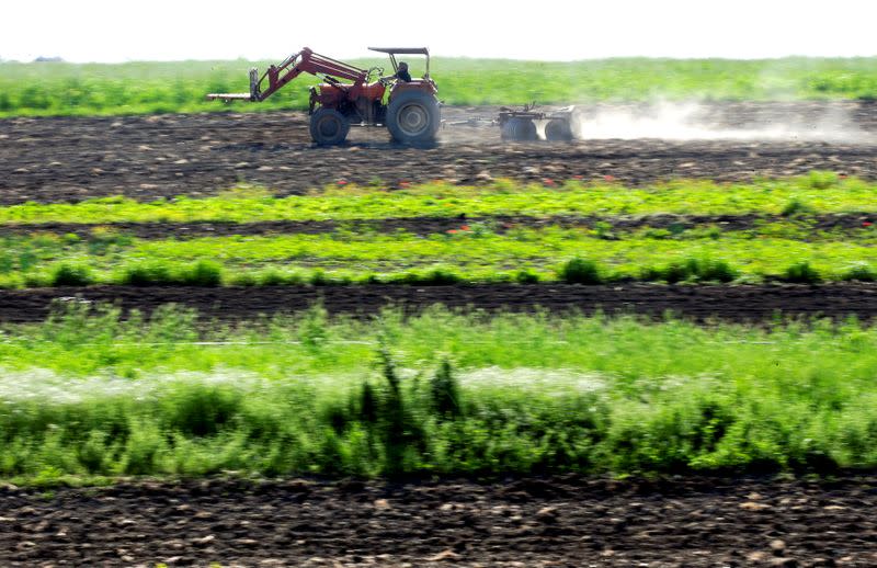 A farmer drives a tractor in his field in Castel Di Guido