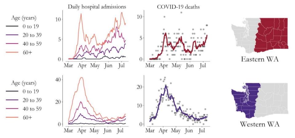 Courtesy the Institute of Disease Modeling, Microsoft and the Washington Department of Health