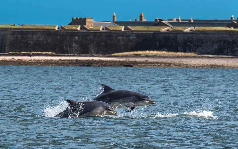 Boat trips Scotland Slow travel grey guide authentic travel experiences for over 60s summer 2022 - Shutterstock