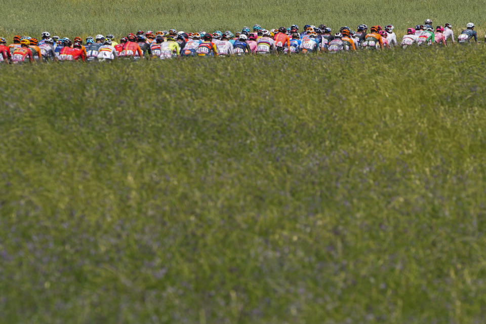 The pack rides during the first stage of the Tour de France cycling race over 206 kilometers (128 miles) with start in Florence and finish in Rimini, Italy, Saturday, June 29, 2024. (AP Photo/Jerome Delay)