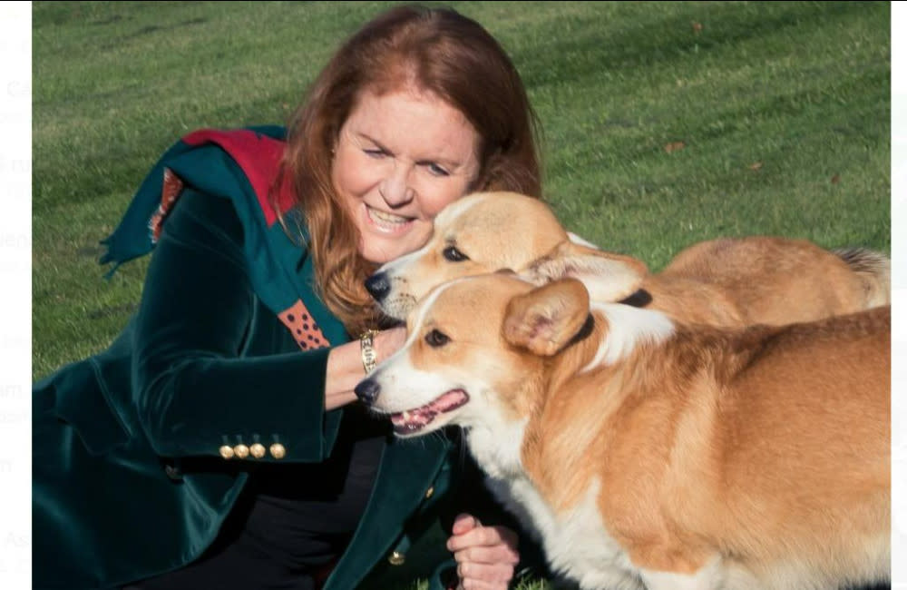 Sarah, Duchess of York, says one of the late Queen’s corgis ‘mourned’ the monarch for a year after her death credit:Bang Showbiz