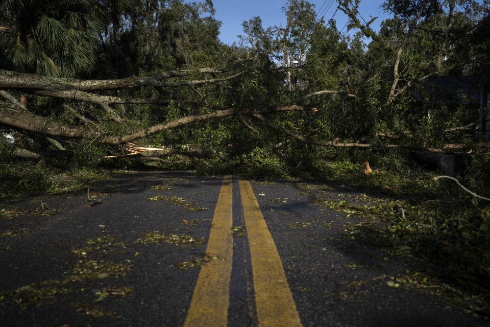 A downed tree blocks a road in Perry, Fla., after the storm. 