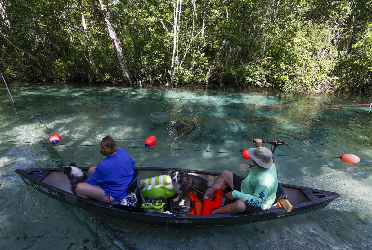 58 ways to celebrate Earth Day in the Tampa Bay area