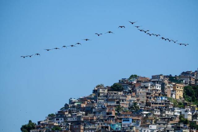 Brazilian Aesthetic': a cara da favelas brasileiras ditam a moda